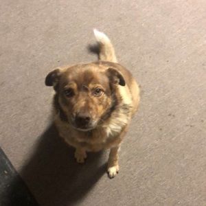 Meet your Posher, Maddie